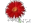 说明: u=1826498438,934320178&gp=26