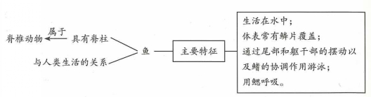 www.xkb1.com              新课标第一网不用注册，免费下载！